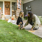 Big Dot of Happiness Jack-O'-Lantern Halloween - Black Cat Ghost Skull & Witch Hat Lawn Decor - Outdoor Kids Halloween Party Yard Decorations - 10 Pc