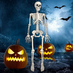OZMI Halloween Skeleton Decoration for Haunted House, 38 Inch Full Body Plastic Skull Skeleton with Posable Joints for Halloween Party Haunted House Bar Graveyard Decorations Party
