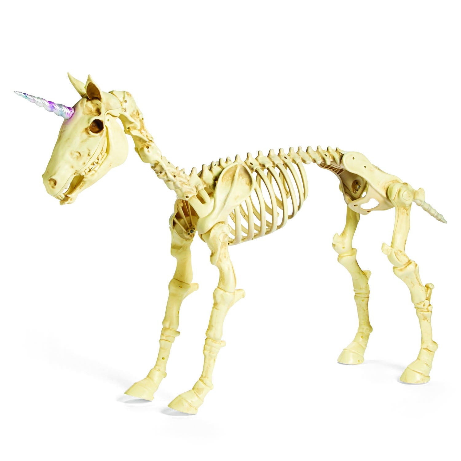 Fun Express White Unicorn Skeleton Outdoor Decor, Halloween Macabre Design