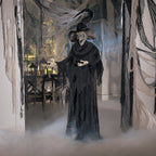Light-Up Standing Witch Halloween Decoration, Home Decor, Halloween, 1 Pieces
