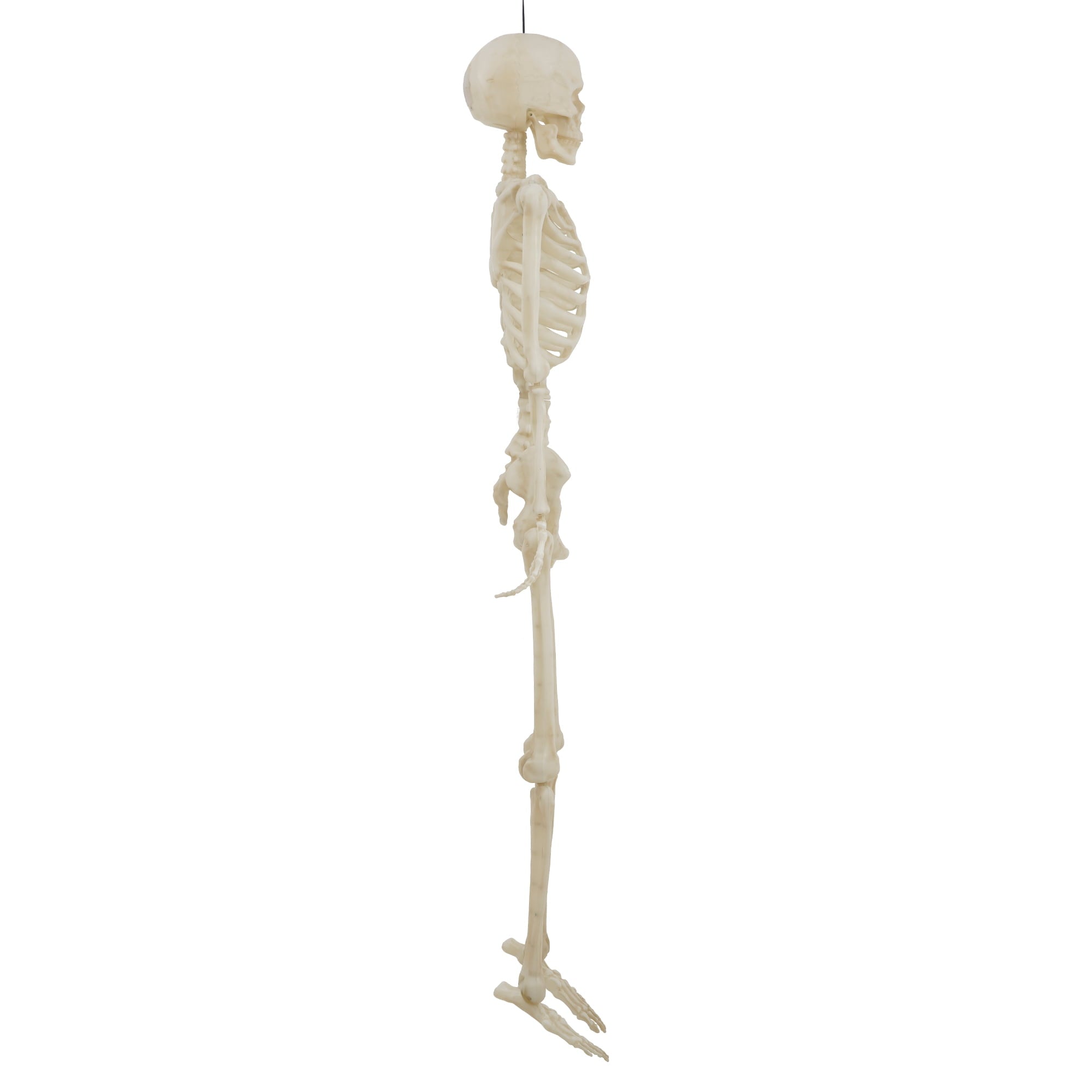 5-foot Poseable LED Illuminated Skeleton, Halloween Decoration