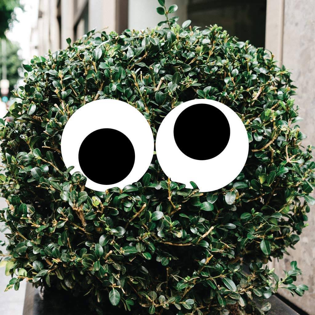 Victory Store Halloween Yard Decorations - Scary Eyes 12 Piece Multicolor Set