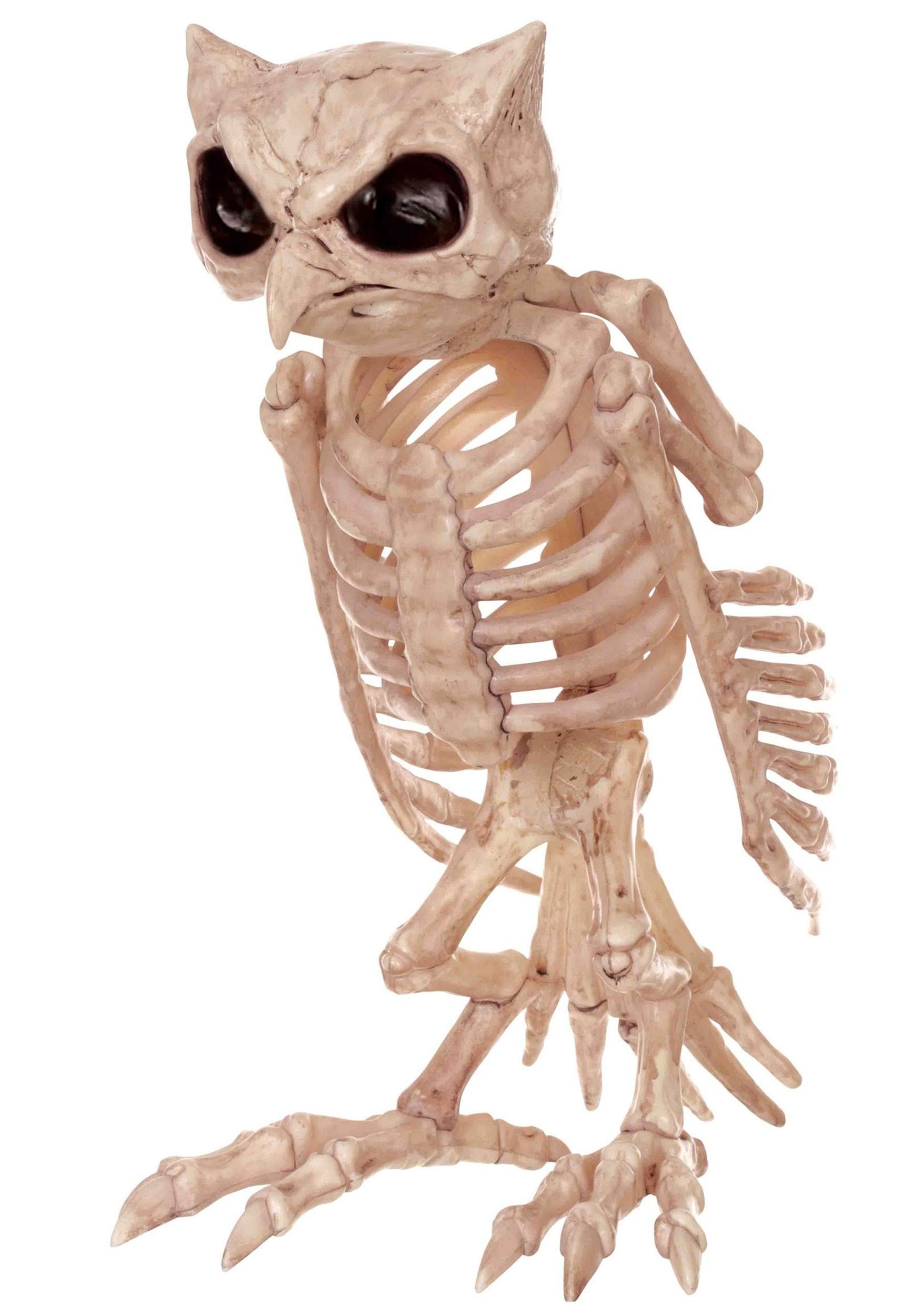 USA Owl Skeleton Halloween Decoration - 13.5 in