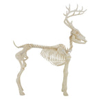 LED Illuminated Deer Skeleton, 60-inch, Halloween Decoration