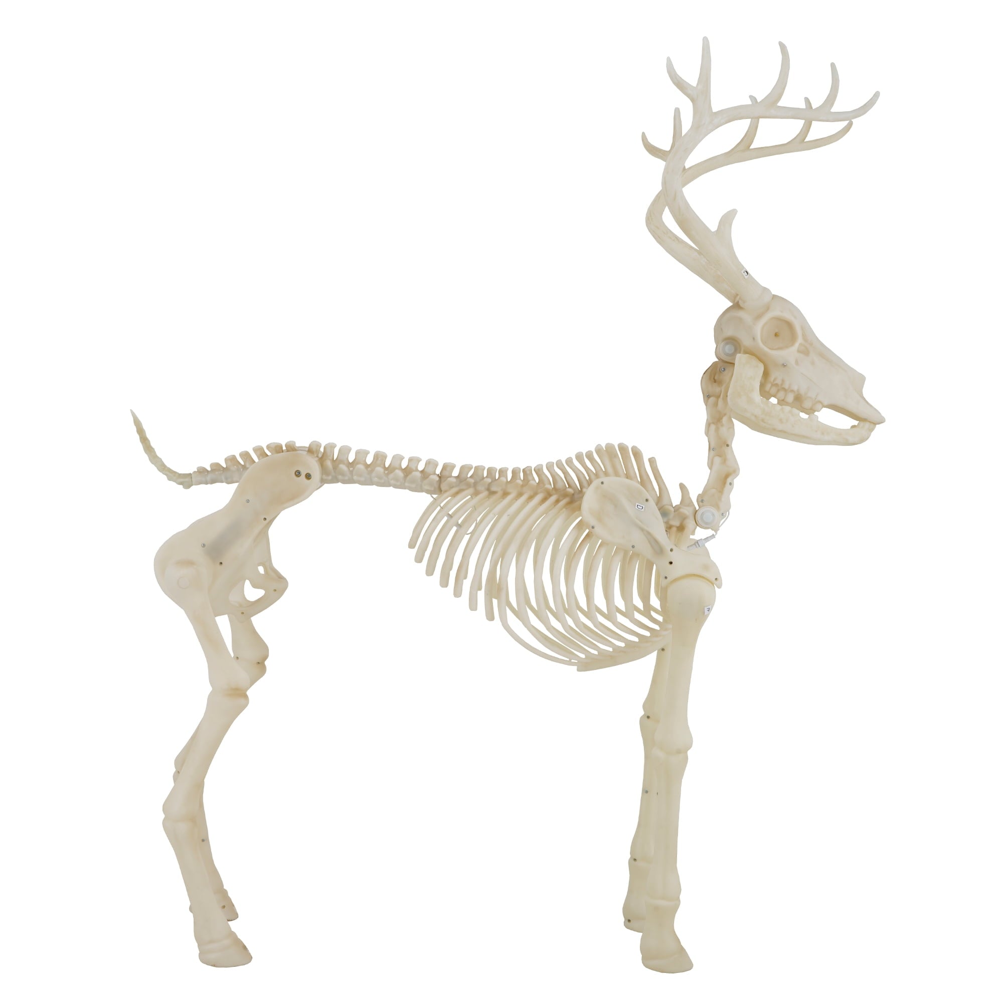 LED Illuminated Deer Skeleton, 60-inch, Halloween Decoration