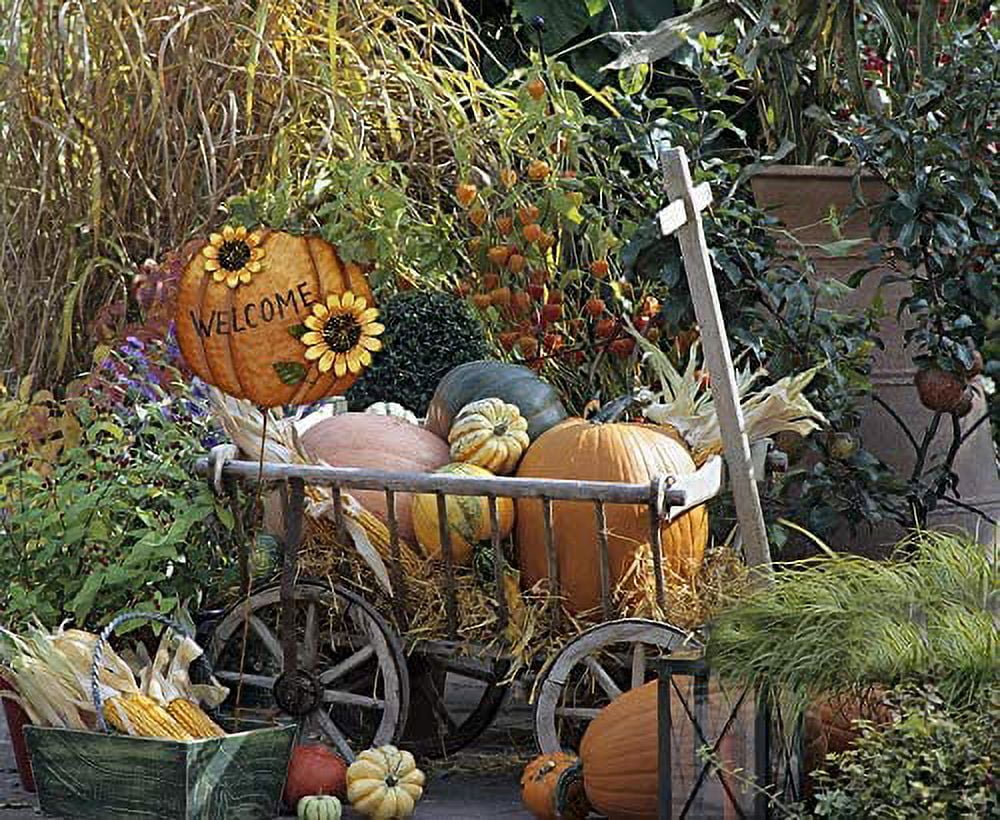 Pumpkin Garden Stake Metal Welcome Sign Fall Decor, Decorative Pumpkin Yard Garden Dcor Outdoor for Autumn Harvest Thanksgiving Halloween Rustic Pumpkin Decoration for Home (1, 14inX36.75in)