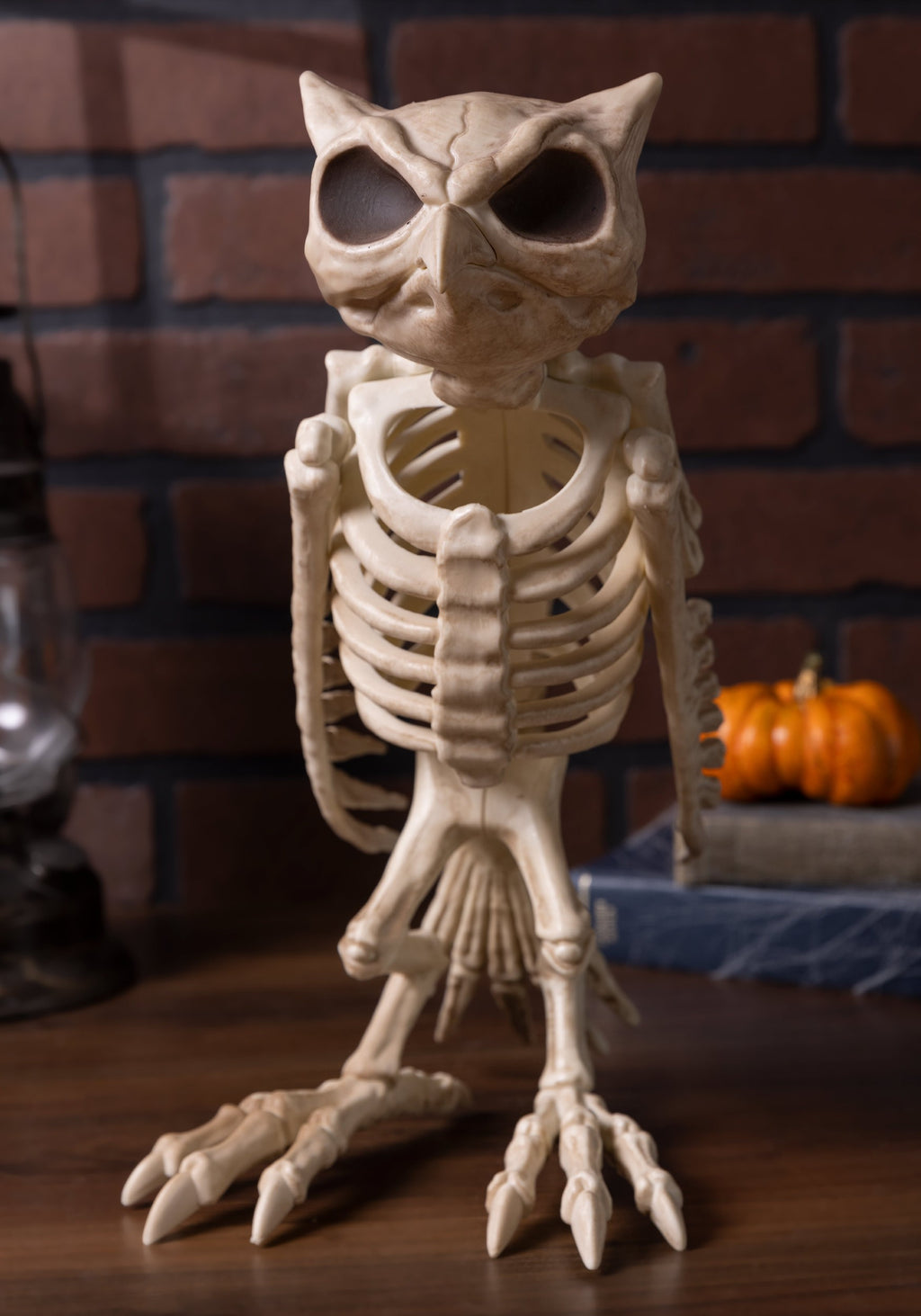 USA Owl Skeleton Halloween Decoration - 13.5 in