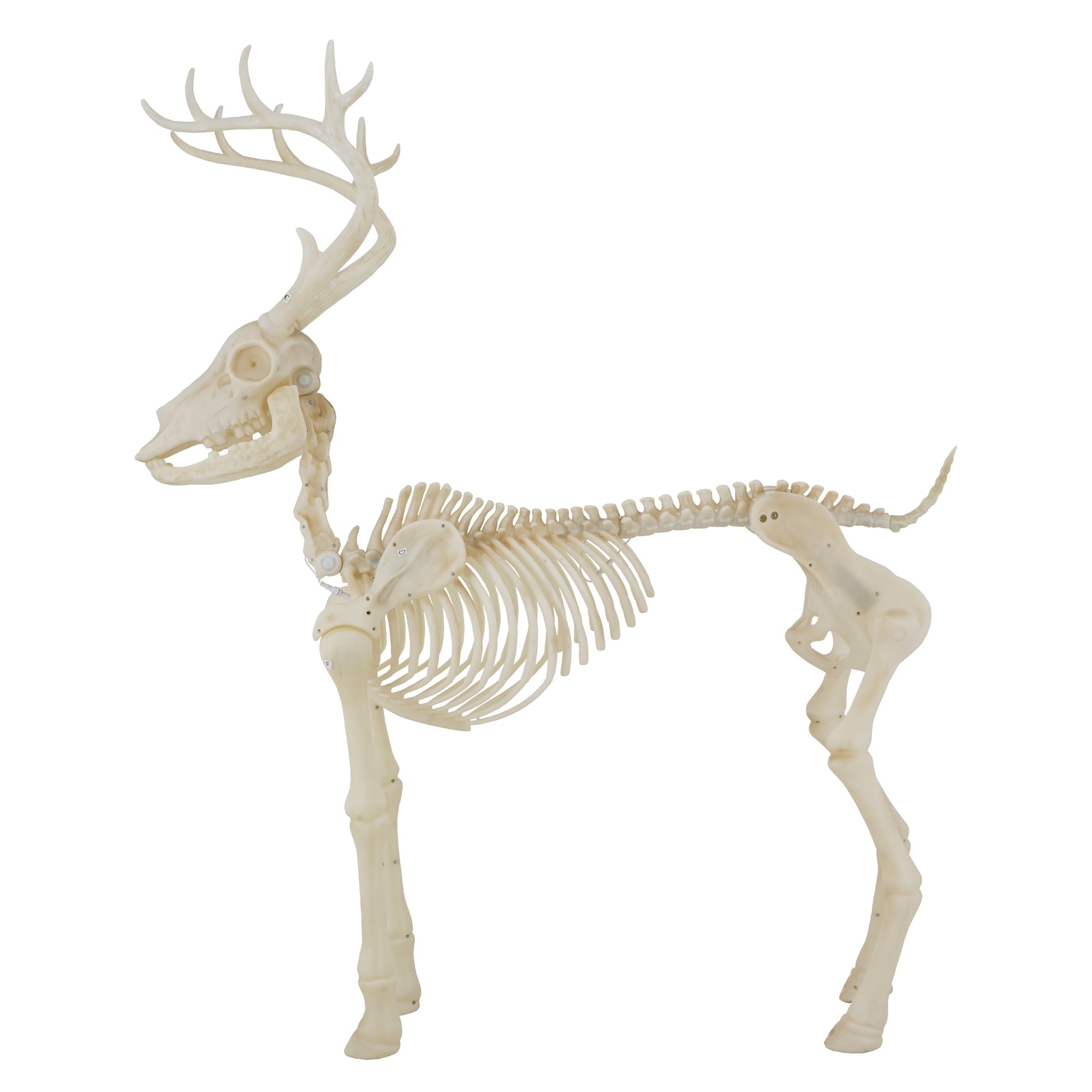 LED Illuminated Deer Skeleton, 60-inch, Halloween Decoration