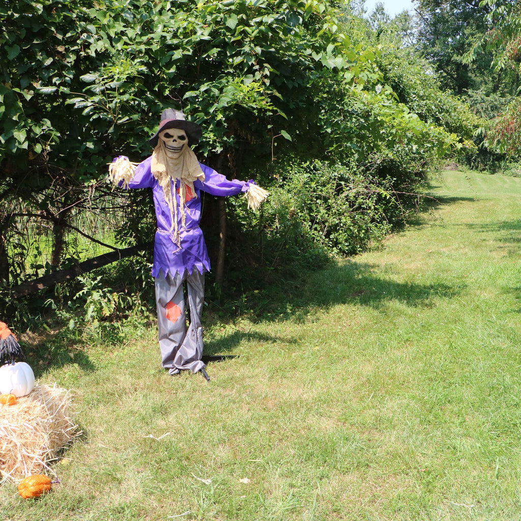 6 ft Standing Halloween Scarecrow Yard Decoration with LED Green Eyes, HHSCR-5FLS