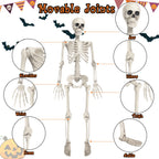 OZMI Halloween Skeleton Decoration for Haunted House, 38 Inch Full Body Plastic Skull Skeleton with Posable Joints for Halloween Party Haunted House Bar Graveyard Decorations Party