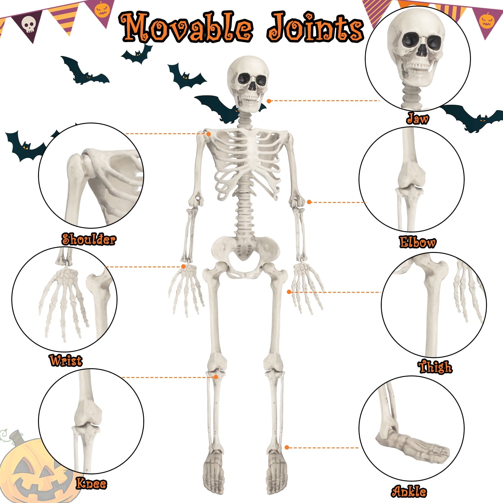 OZMI Halloween Skeleton Decoration for Haunted House, 38 Inch Full Body Plastic Skull Skeleton with Posable Joints for Halloween Party Haunted House Bar Graveyard Decorations Party