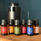 Traditions of Scent Premium Fragrance Oil Scent Diffuser by Tinsel Traditions
