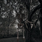 8 ft Tall Motion-Activated Towering Skeleton, Premium Talking Halloween Animatronic Decoration, Plug-In, HHTWRSKEL-2FLSA