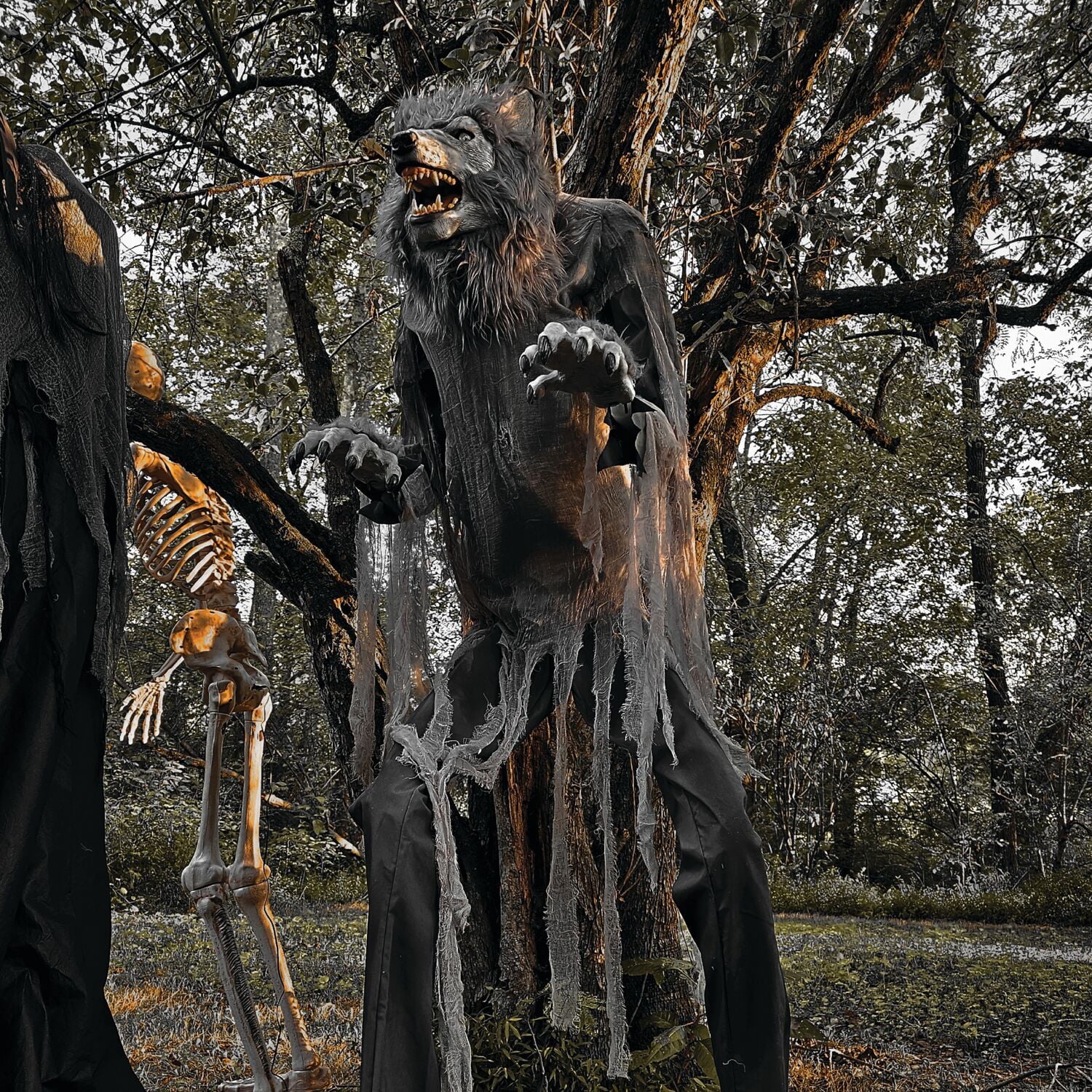 7 ft Tall Motion-Activated Towering Werewolf, Premium Halloween Animatronic, Plug-In, HHTWRWOLF-1FLSA