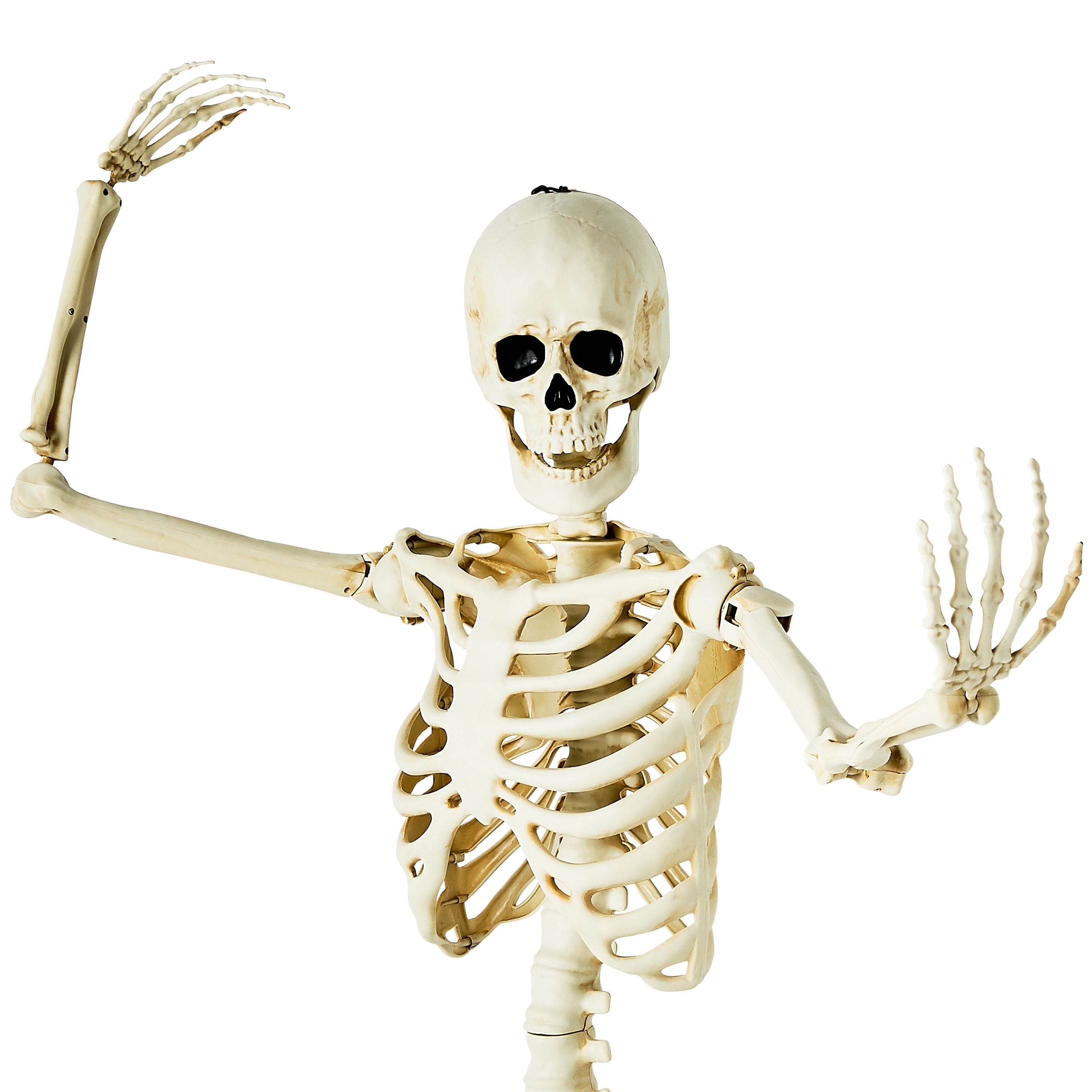 Hanging Posable Skeleton Decoration, White, 5', Halloween