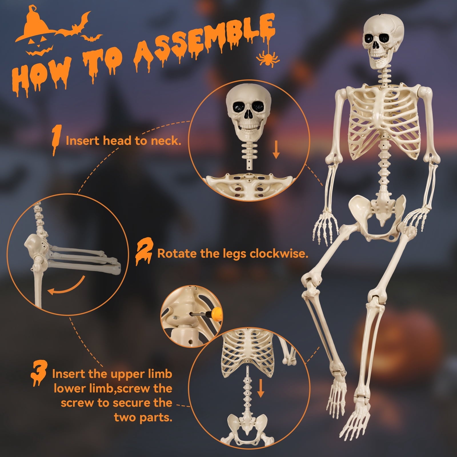 5.4 ft Halloween skeleton decoration, with movable joints, flexible skeleton for poses, scary skeleton suitable for indoor and outdoor Halloween decorations, haunted houses, courtyards, cemeteries.