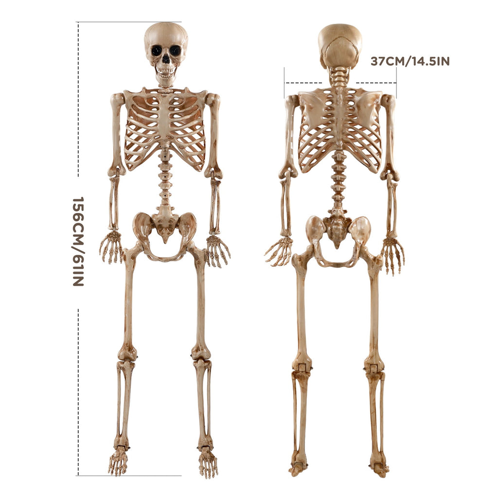 5.4ft Halloween Skeleton Decorations, Weathered Posable Skeleton Decor for Halloween Decorations Outdoor Indoor