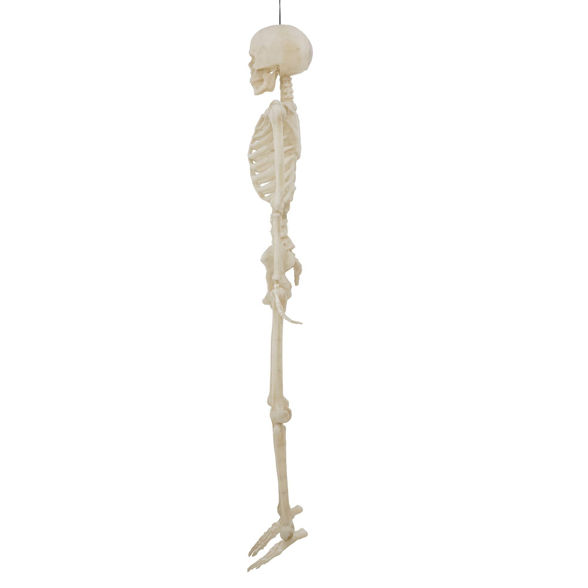5-foot Poseable LED Illuminated Skeleton, Halloween Decoration