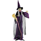 Life-Size Animated Talking Witch w/ Broomstick, 6 ft Halloween Decoration, HHWITCH-5FLSA