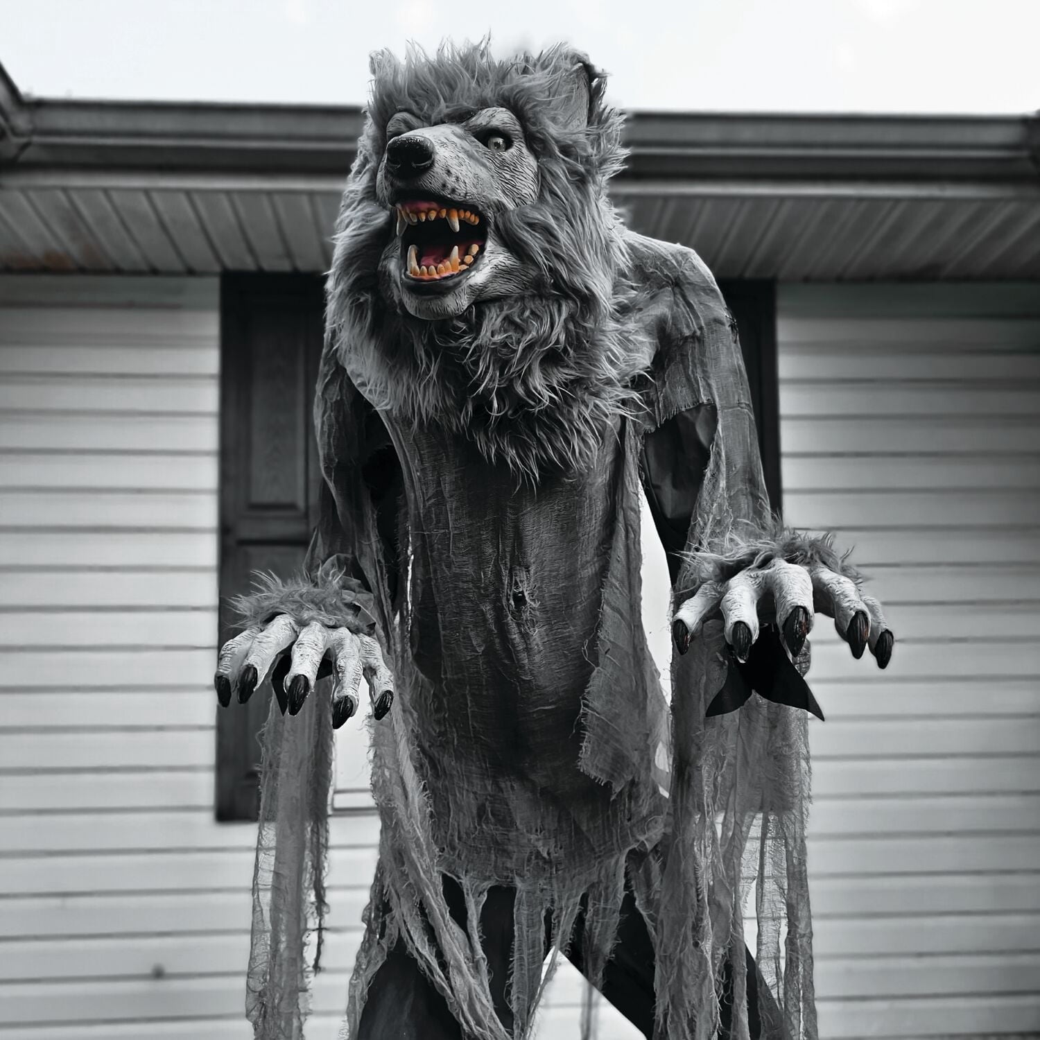 7 ft Tall Motion-Activated Towering Werewolf, Premium Halloween Animatronic, Plug-In, HHTWRWOLF-1FLSA