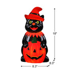 18in Outdoor Cat Lit Blow Mold