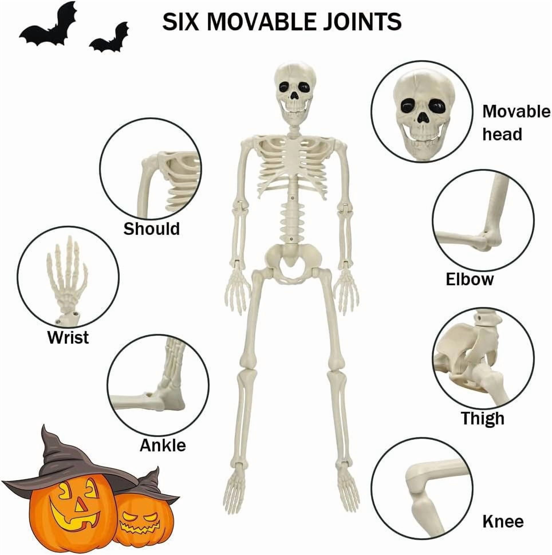 35" Halloween Skeleton Decoration  3 ft Body with Posable Joints for Indoor & Outdoor Yard Patio Lawn Garden Haunted Party Decor