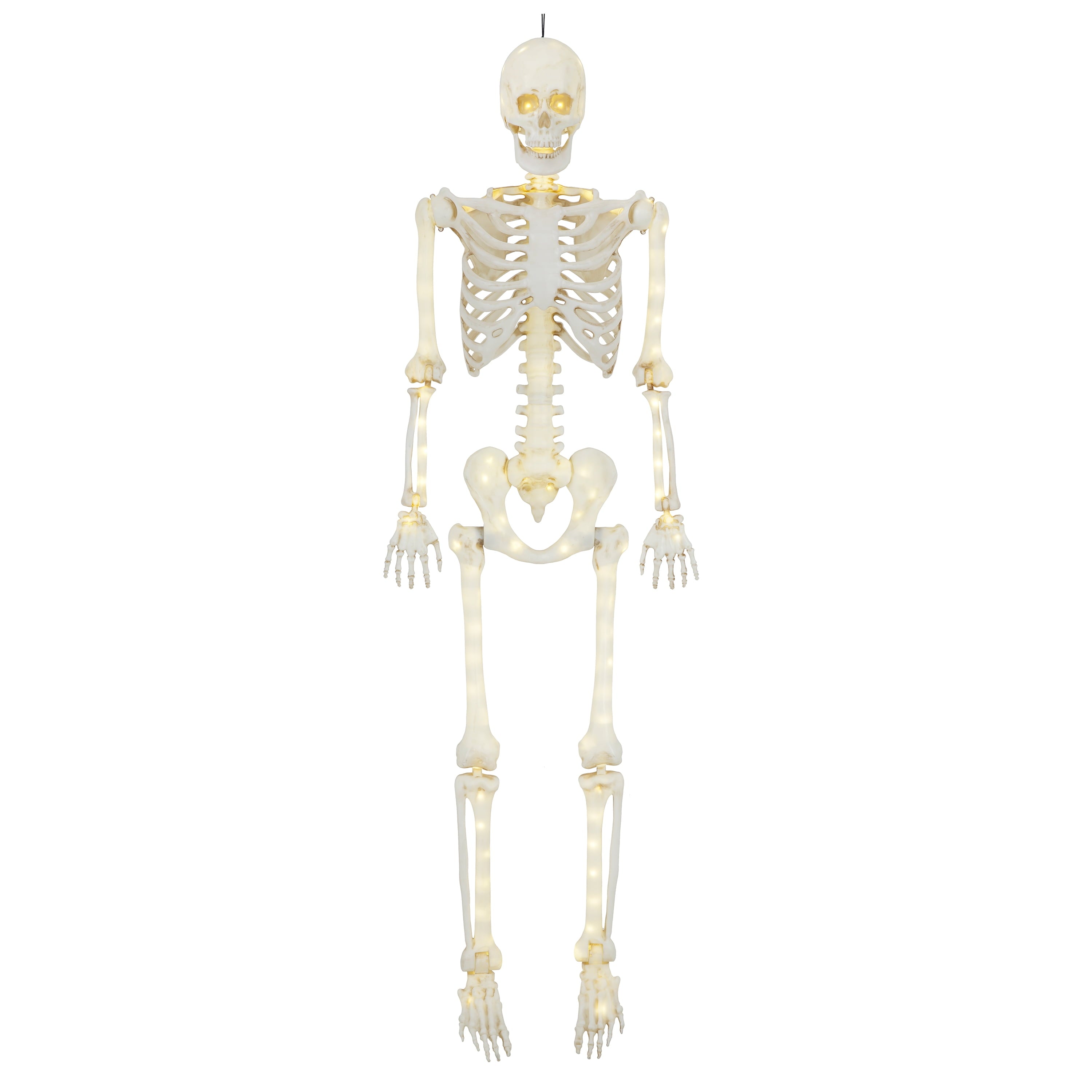 5-foot Poseable LED Illuminated Skeleton, Halloween Decoration