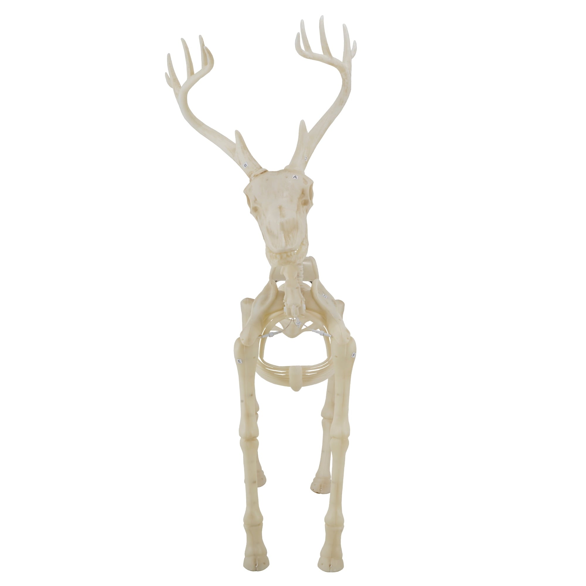 LED Illuminated Deer Skeleton, 60-inch, Halloween Decoration