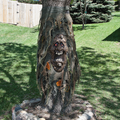 FX Black Ghost Halloween Outdoor Decor, Red Eyes Fade In and Out (1 Count)