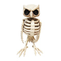 14" Animated Owl Skeleton Halloween Decoration