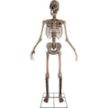 8 ft Tall Motion-Activated Towering Skeleton, Premium Talking Halloween Animatronic Decoration, Plug-In, HHTWRSKEL-2FLSA