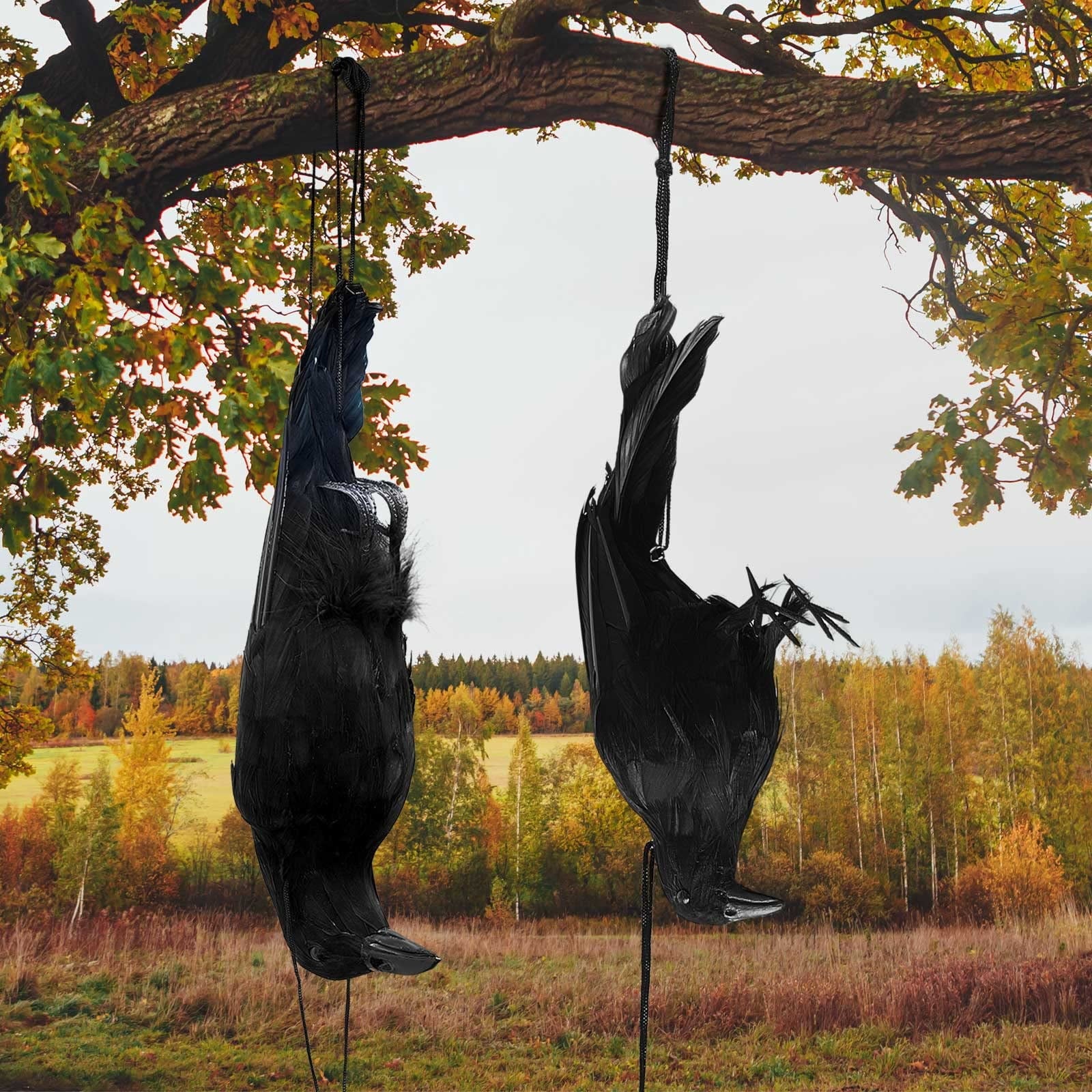 Halloween Realistic Hanging Dead Crows Decoy Fake Crows for Halloween Garden Tree Porch Terrify Decorations