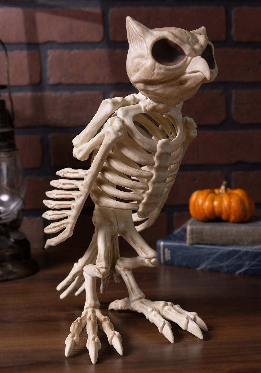 USA Owl Skeleton Halloween Decoration - 13.5 in