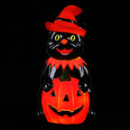 18in Outdoor Cat Lit Blow Mold