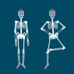 Deago 4 Pack Halloween Hanging Luminous Skeleton Decorations 5 Ft Full Body Glow-in-The-Dark Poseable Skeleton for Outdoor Yard Garden Hanging Halloween Props
