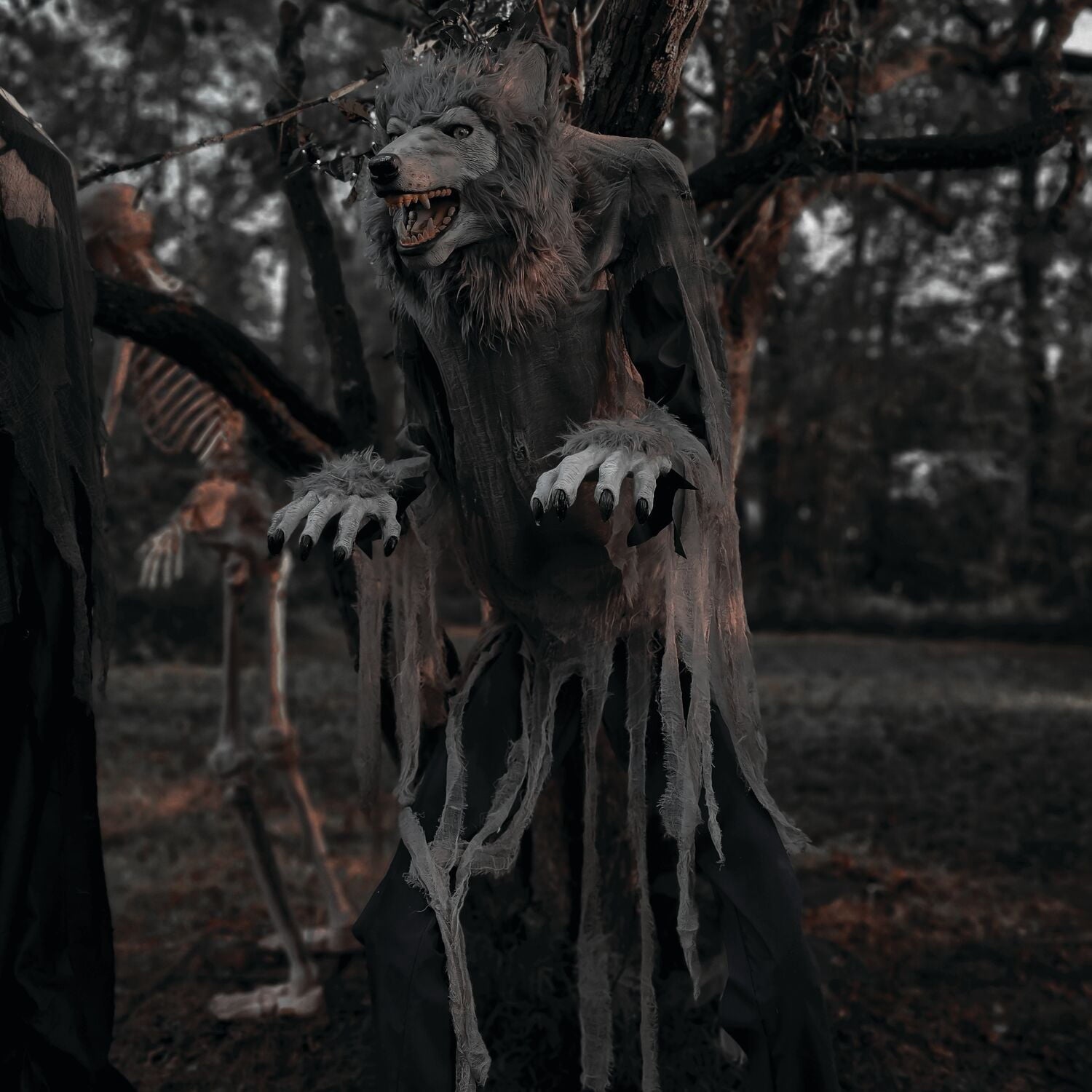 7 ft Tall Motion-Activated Towering Werewolf, Premium Halloween Animatronic, Plug-In, HHTWRWOLF-1FLSA