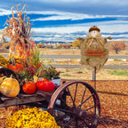 Fall Scarecrow Yard Stake with LED Lights Happy Fall Ya'll Scarecrow Garden Stake Autumn Harvest Halloween Thanksgiving Outdoor Yard Decorations