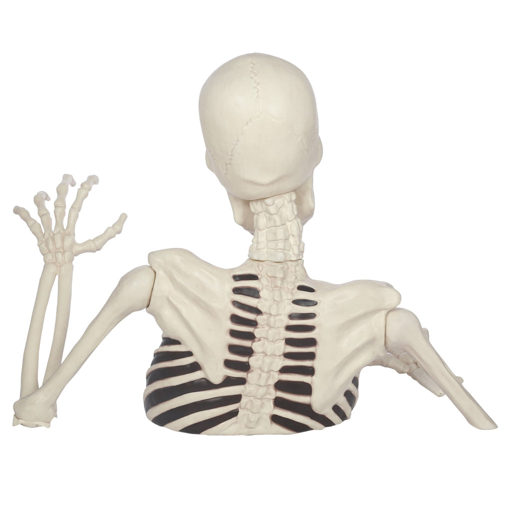 35" Halloween Giant Groundbreaker Skeleton, Halloween Decoration for Outdoor Lawn Yard and Porch