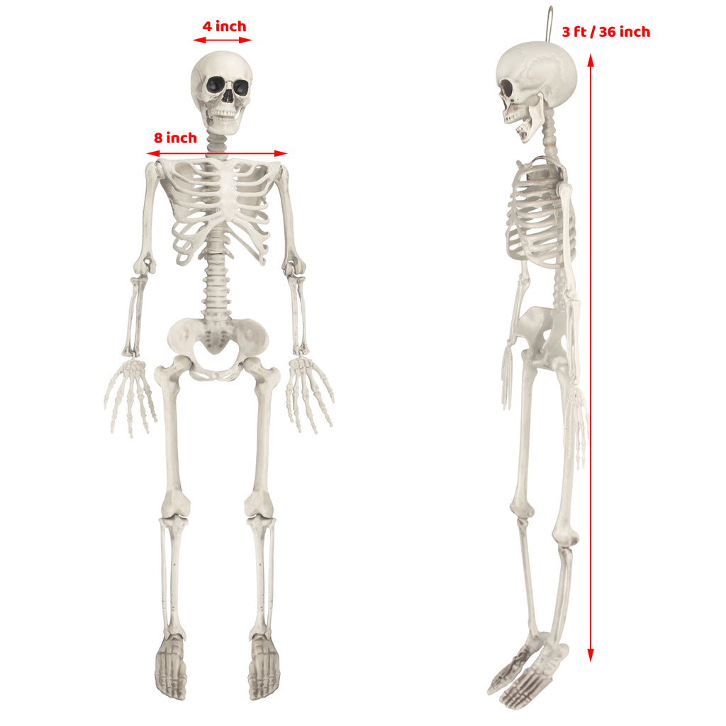 OZMI Halloween Skeleton Decoration for Haunted House, 38 Inch Full Body Plastic Skull Skeleton with Posable Joints for Halloween Party Haunted House Bar Graveyard Decorations Party