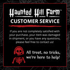 Lunging Pumpkin Carver Zombie Girl with Jack O'Lantern by Tekky, 3.2 ft Premium Talking Halloween Animatronic, HHPMPCVR-FLSA