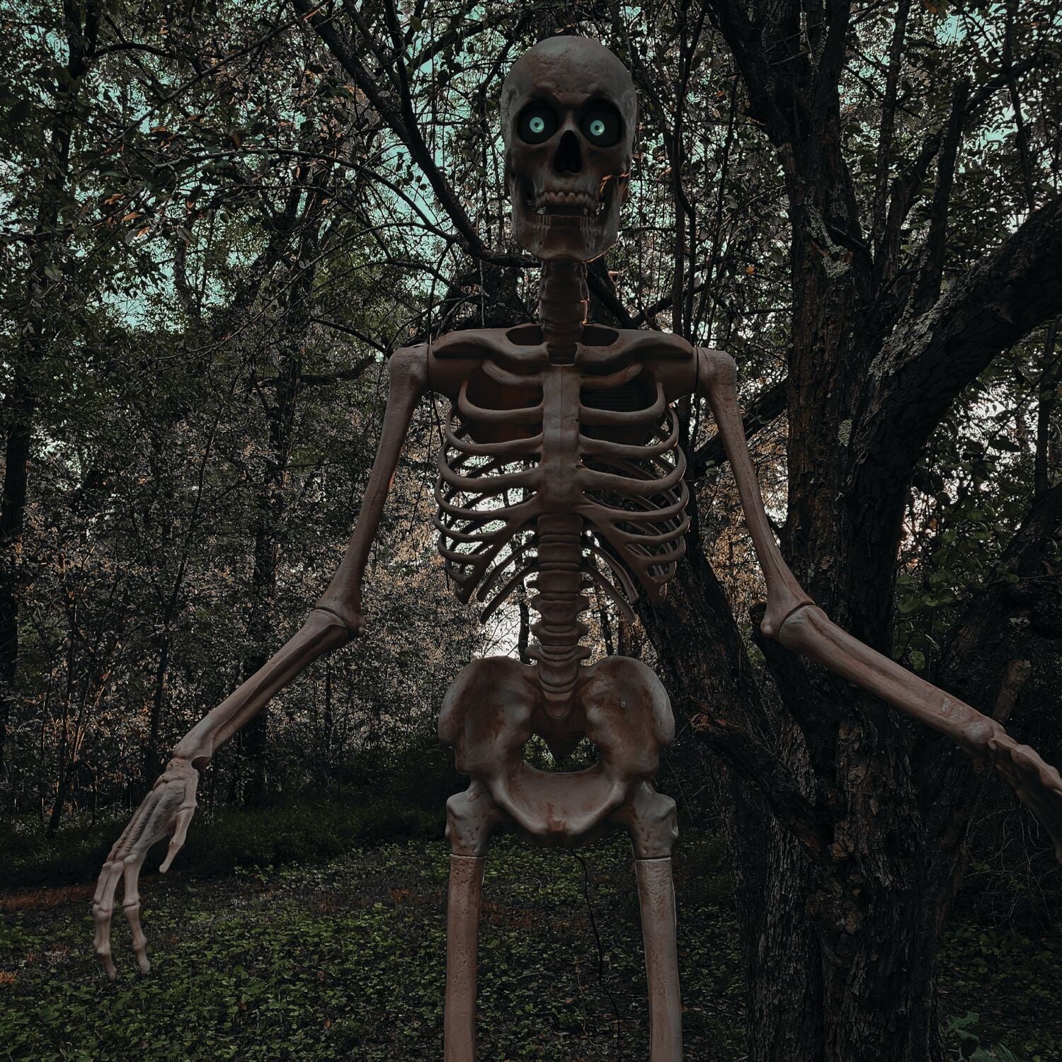 8 ft Tall Motion-Activated Towering Skeleton, Premium Talking Halloween Animatronic Decoration, Plug-In, HHTWRSKEL-2FLSA
