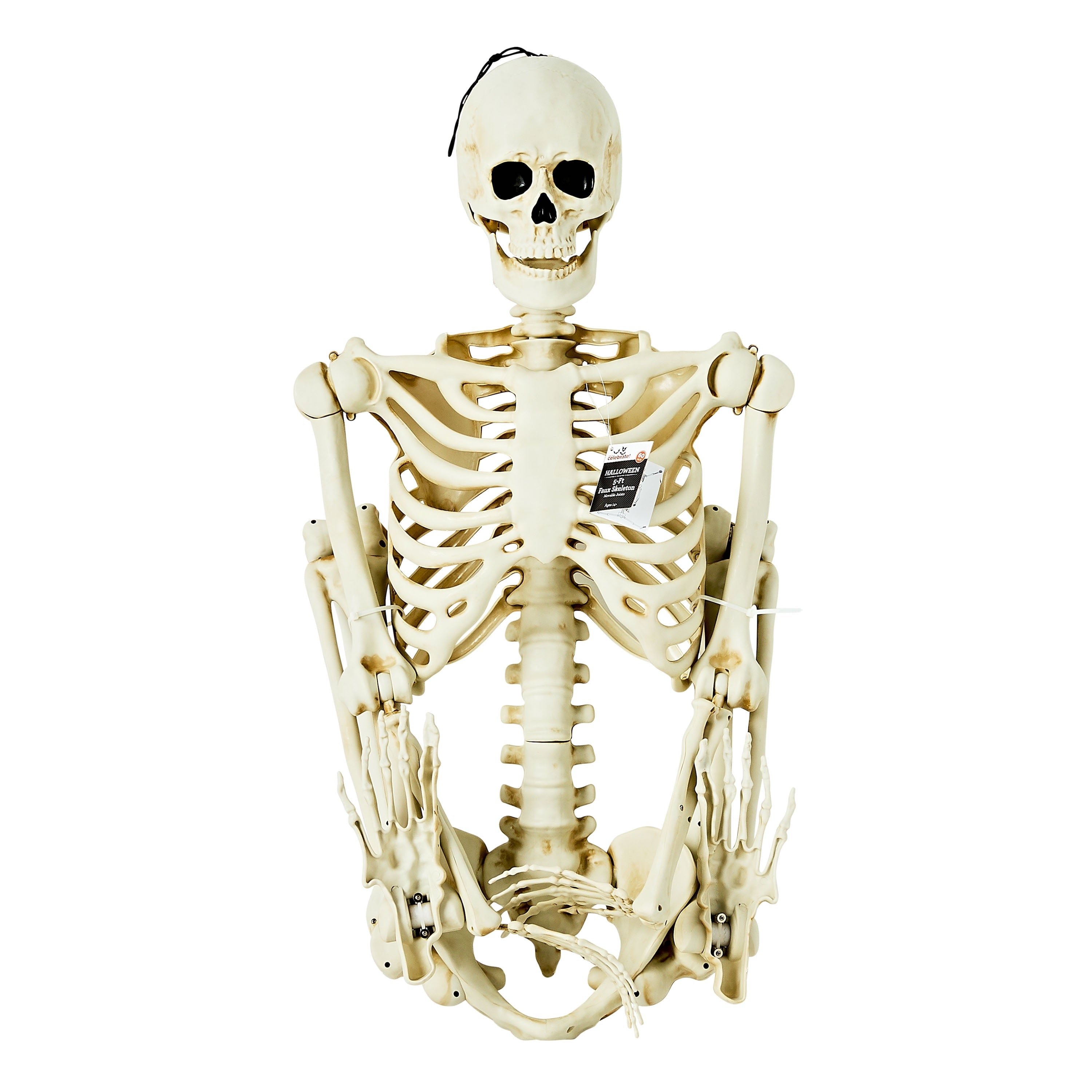 Hanging Posable Skeleton Decoration, White, 5', Halloween
