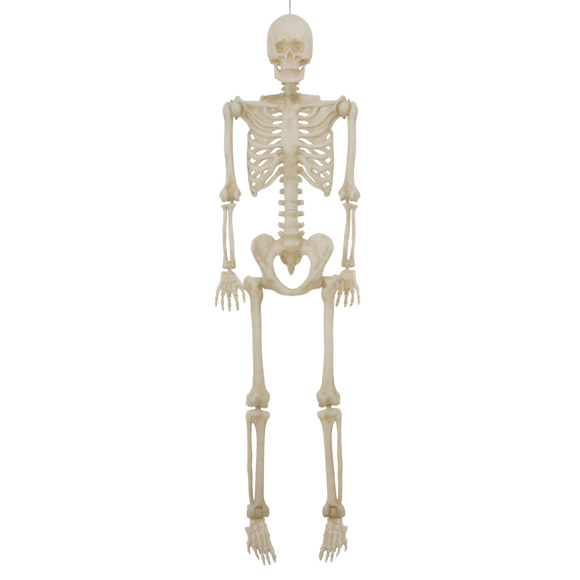 5-foot Poseable LED Illuminated Skeleton, Halloween Decoration