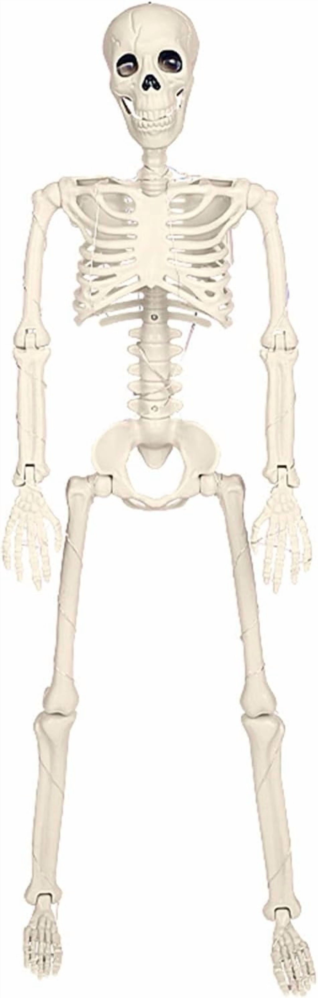 36" Full Body Skeleton Decoration,Halloween Posable Skeleton with Lights, Posable Joints Gothic Skeletons Decoration for Outdoor Indoor Yard Patio Haunted House,Light Up Spooky Party Props Decor